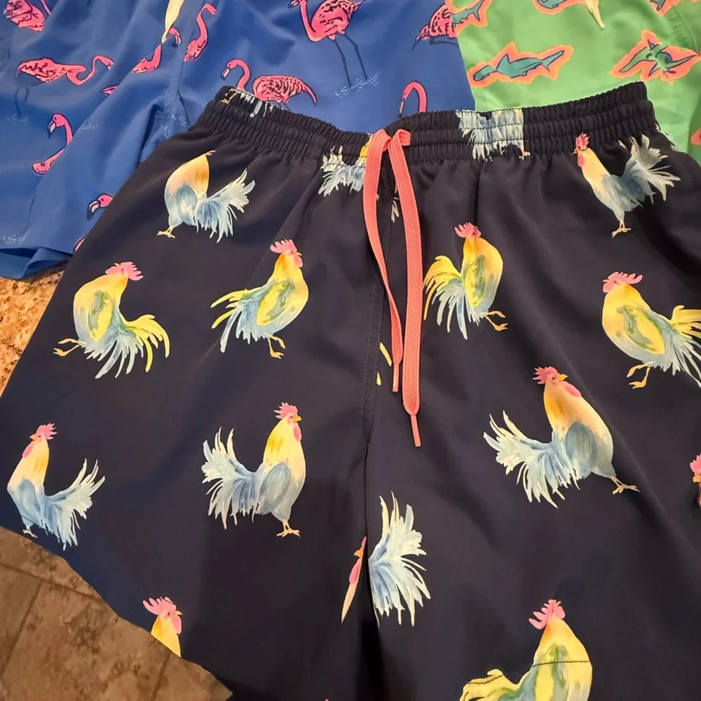 Chubbies Swim Bundle (5 pairs)